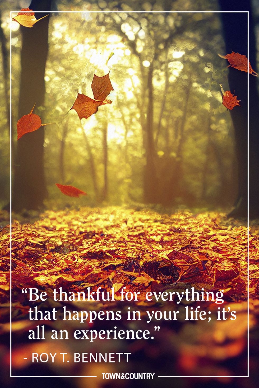 thanks-bennett-650097e55fa7b.jpg